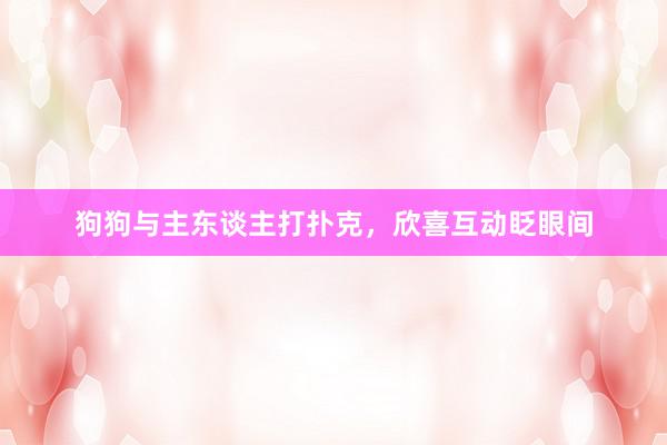 狗狗与主东谈主打扑克，欣喜互动眨眼间